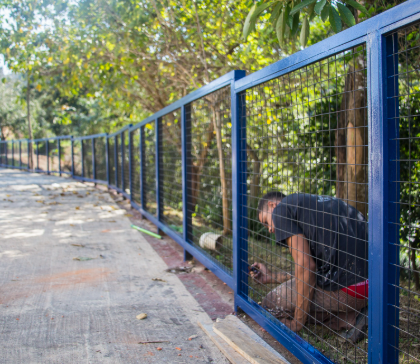Captura de tela 2026-08-15 184730